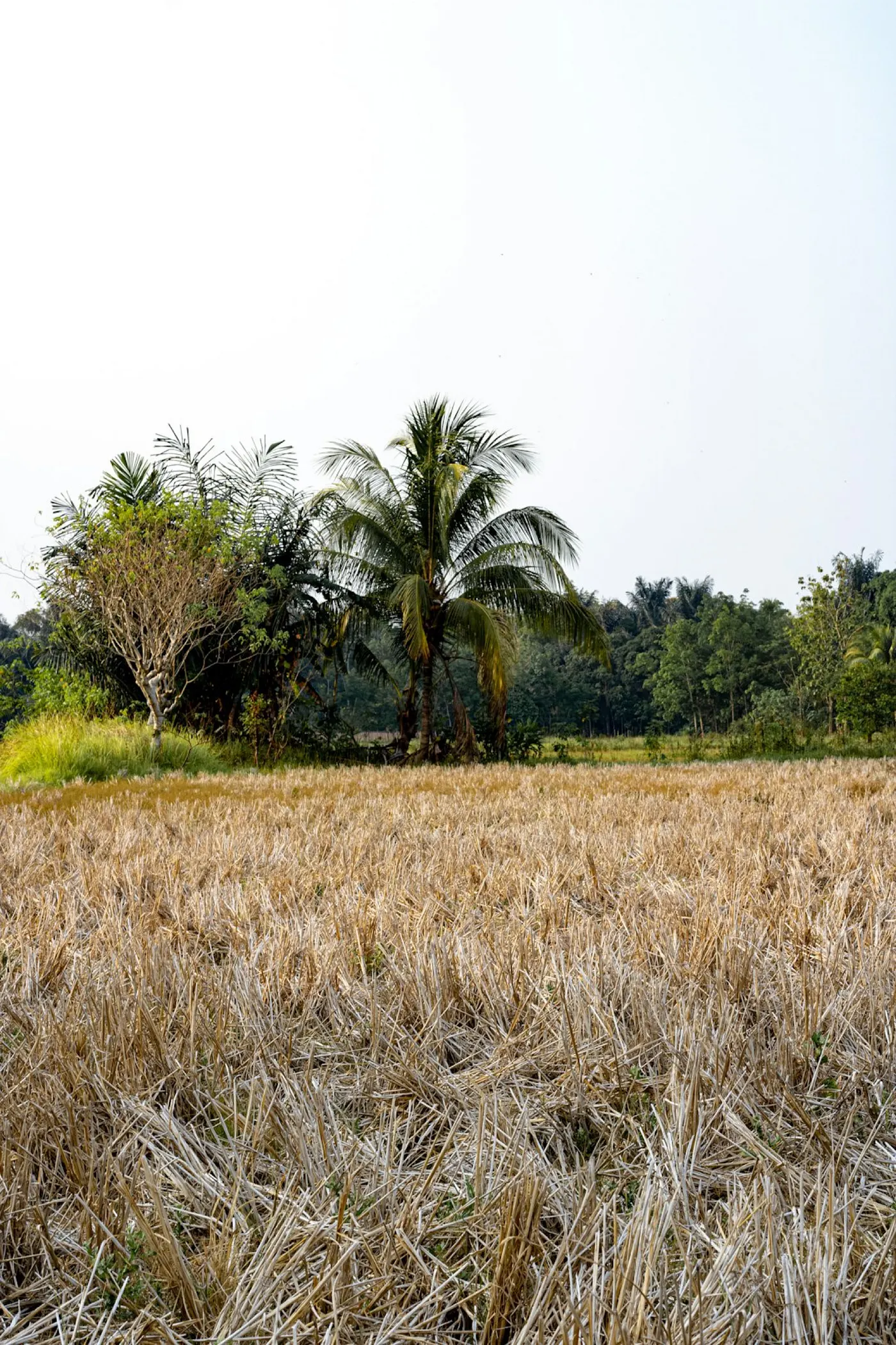 Photo by Hobi industri on Unsplash