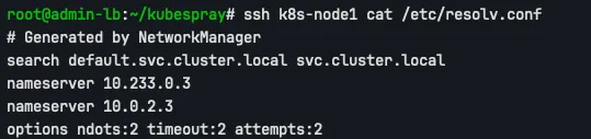 ssh k8s-node1 cat /etc/resolv.conf