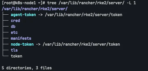 tree /var/lib/rancher/rke2/server/ -L 1