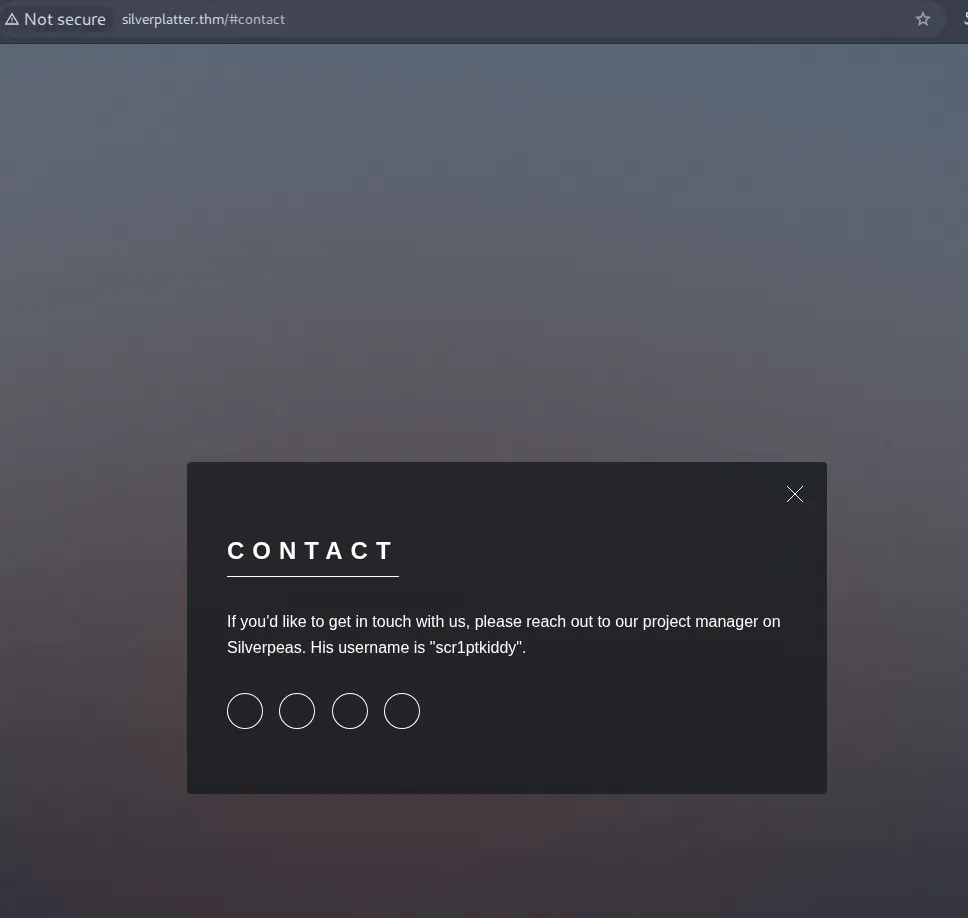 Contact Page - Username Discovery
