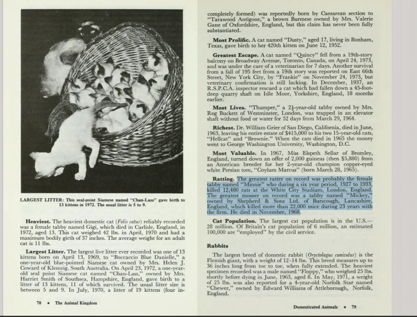the Guinness Book of World Records