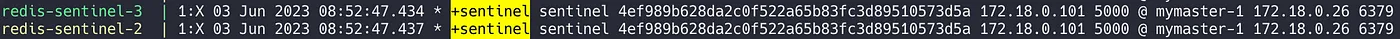 Logs of sentinel process
