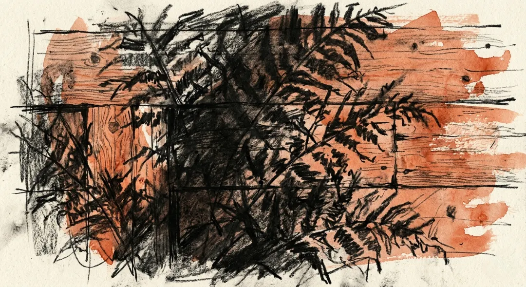 Post image 4