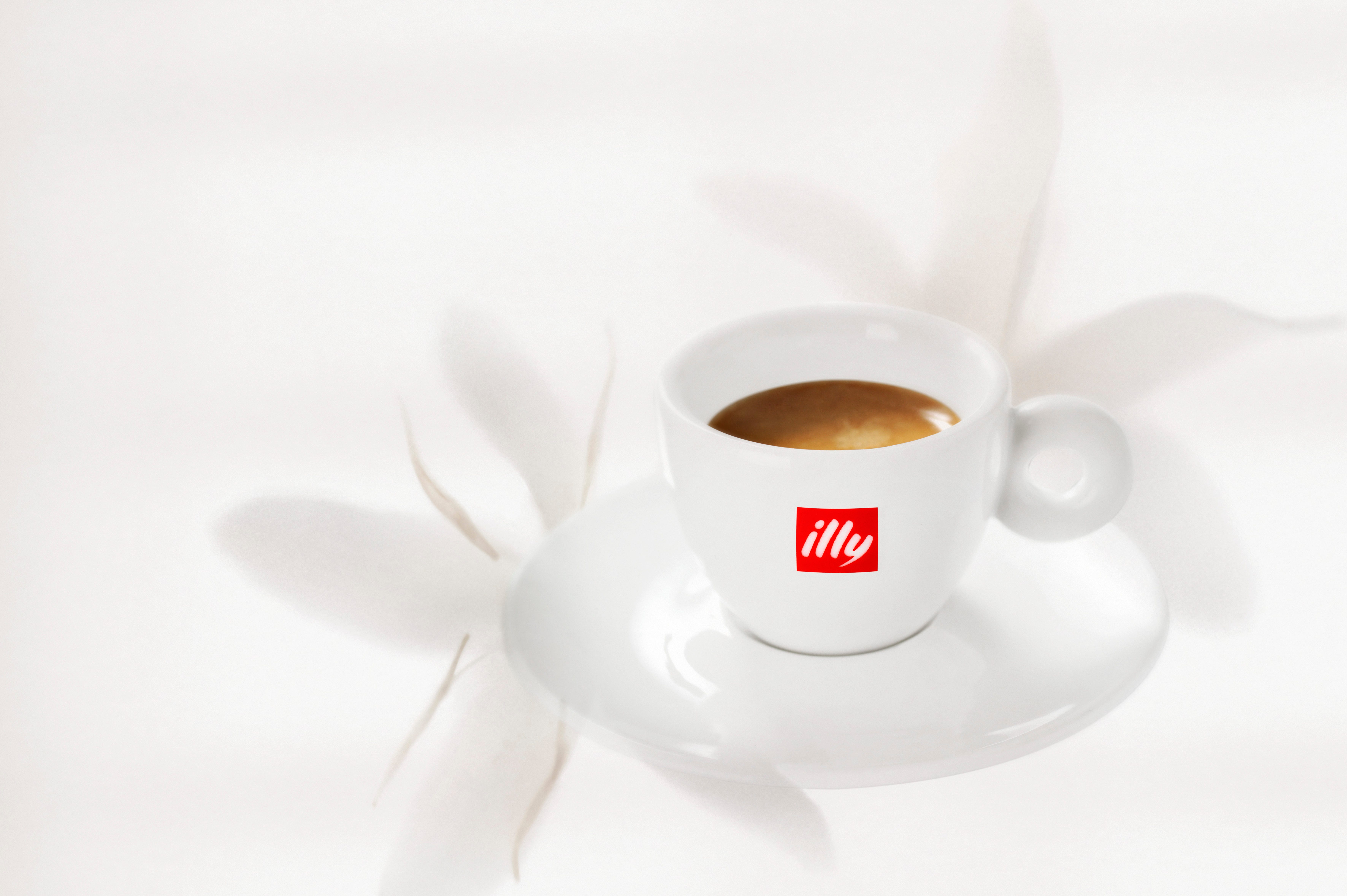 Italian coffee company illycaffé on sustainability in its supply chain