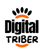 Digital Triber | Digital Marketing Agency