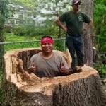 Expert Landscape Design Services in Rockland NY