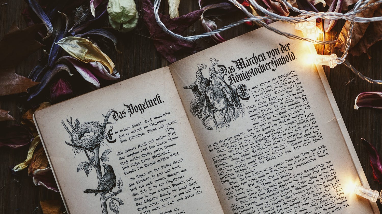 Exploring German Blogs: Beyond Language, Unity, Fun