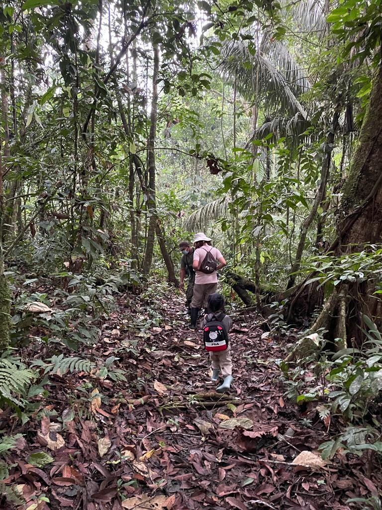 Gap Year (10): The  Rainforest — A Must Go!