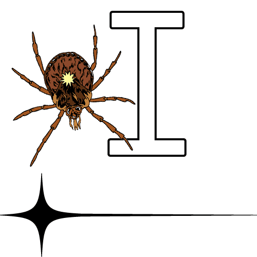 Lyme Disease Cases Are Exploding. And It’s Only Going to Get Worse