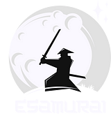 TheDigitalSamurai