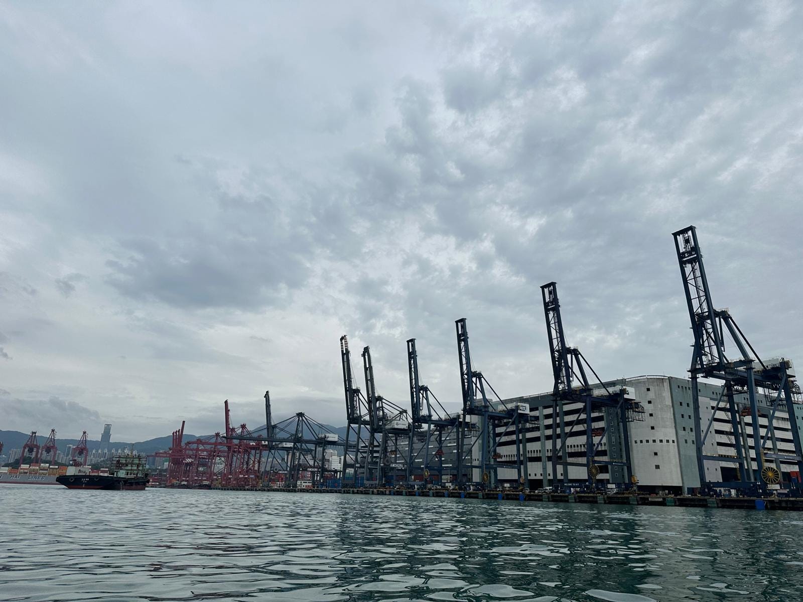 妹豬初釣櫃底賞銀杏