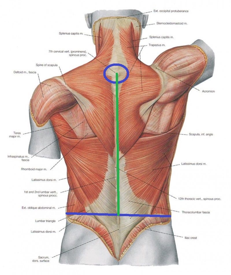 The Definitive Guide that You Never Wanted: Fitting and Adjusting