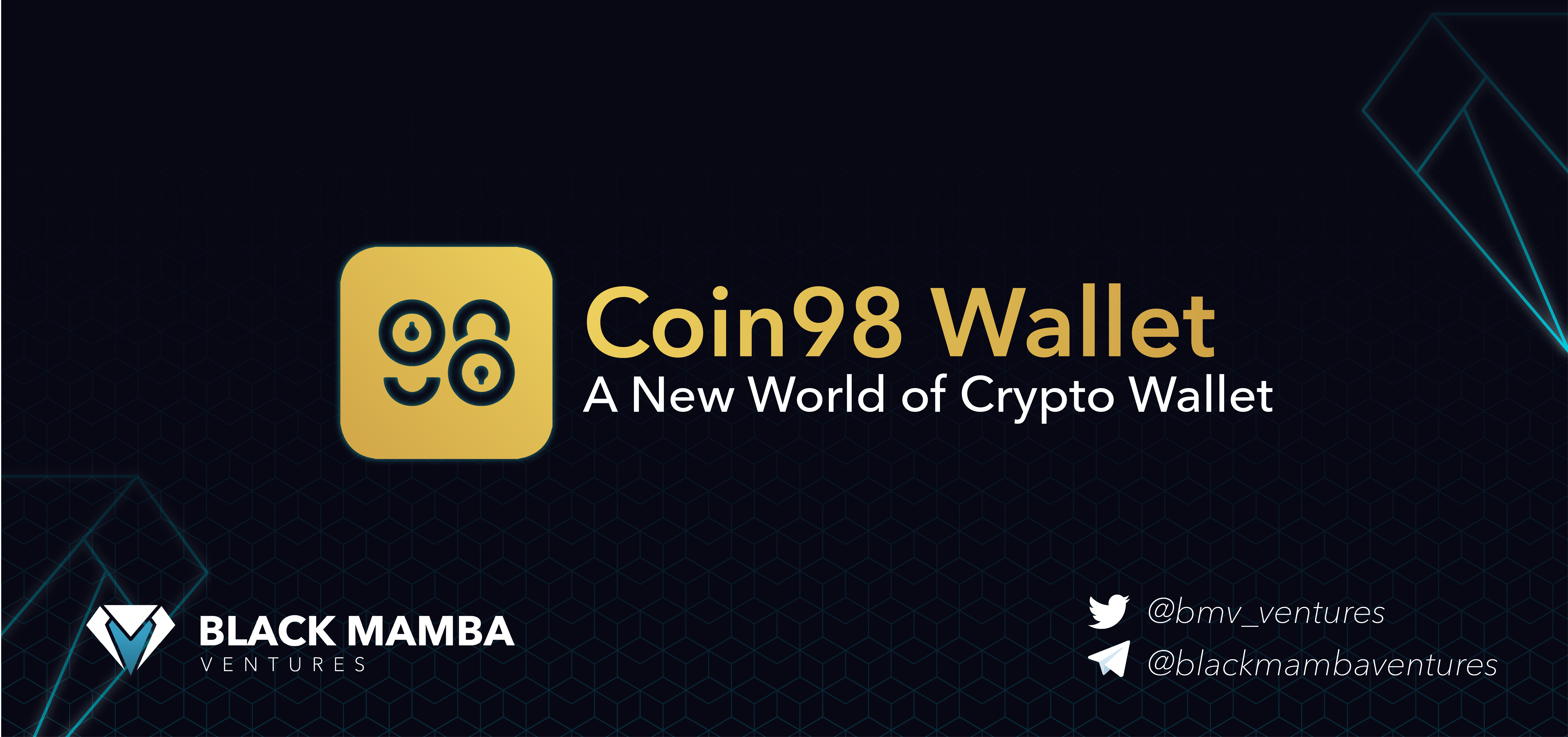 Coin98 — A New World of Crypto Wallet | by Black Mamba Ventures | Black  Mamba Ventures | Medium