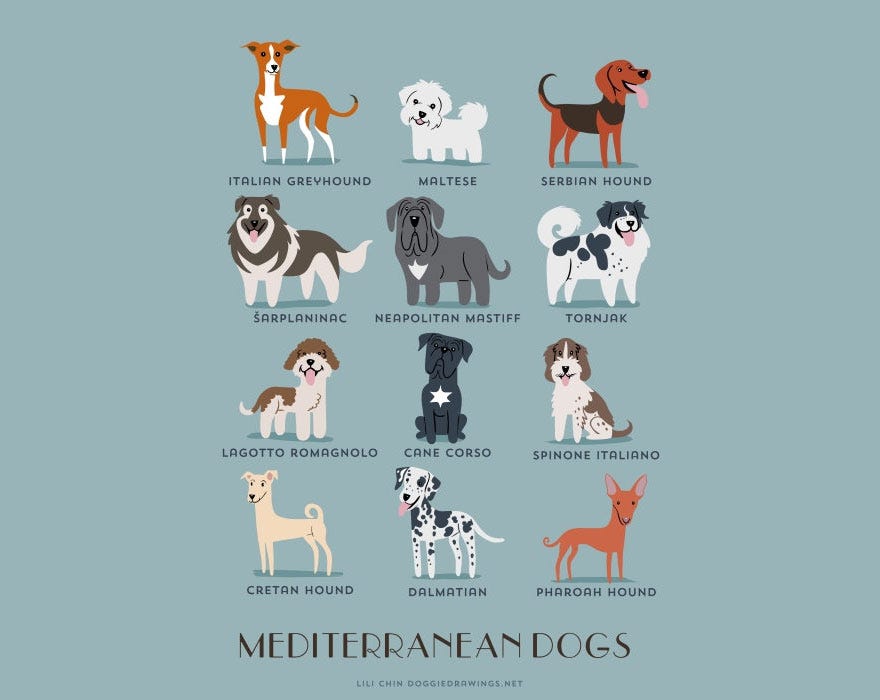 How Many Dog Breeds Exist: Discover the Astonishing Count
