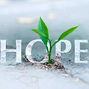 SudoHopeX