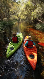 The Day I Realized “Family Kayak” Means “Family System”