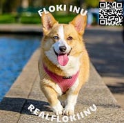 FLOKI