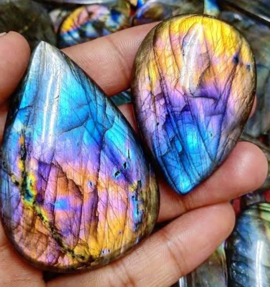 6 Inuit Book Besties, image size:907x965