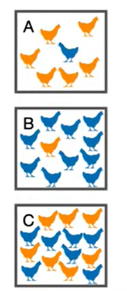 Pick Chickens