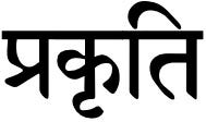 108 Yoga Sūtra Study Pointers — 215 — The cause of our confused relationship with Abhiniveśā