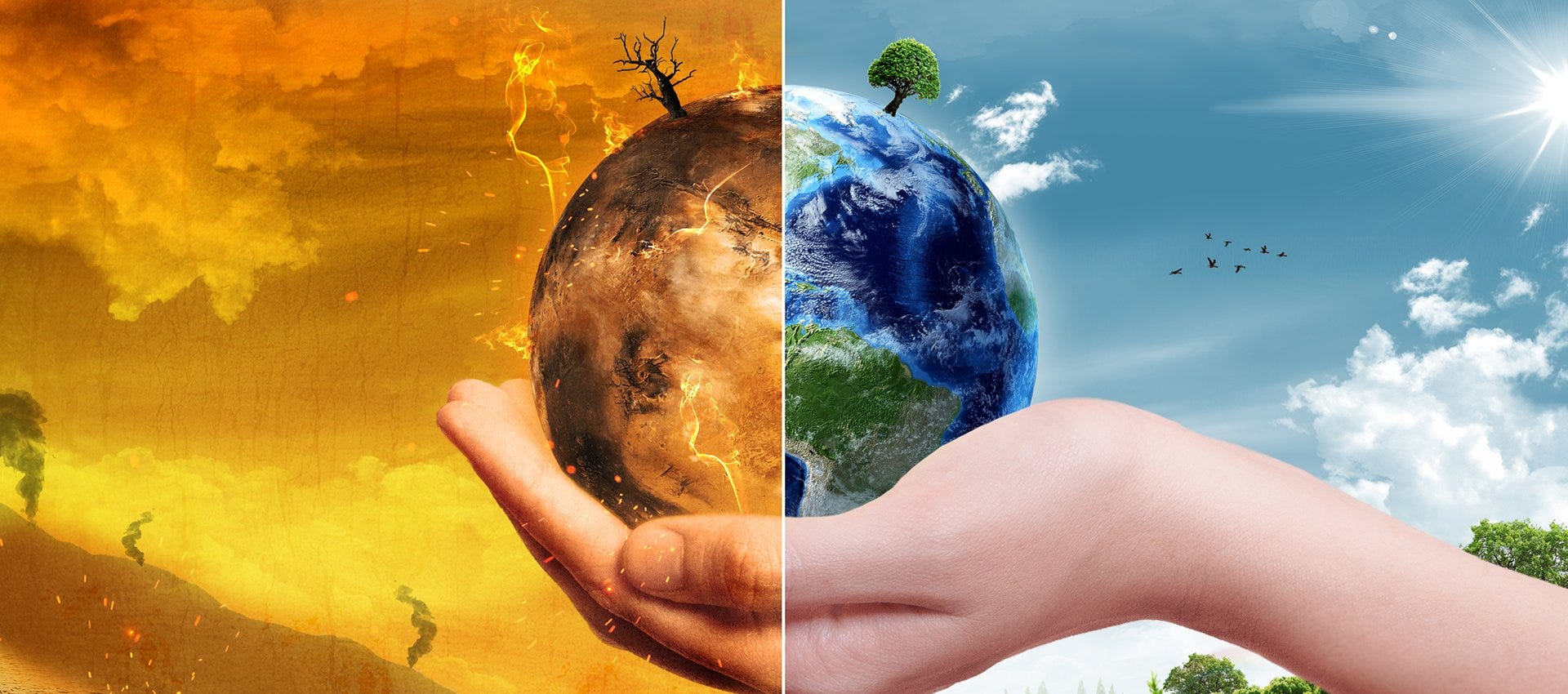 Люби и береги природу. Экология земля в руках. Окружающий мир для детей. Планета друзей. Любовь к природе.