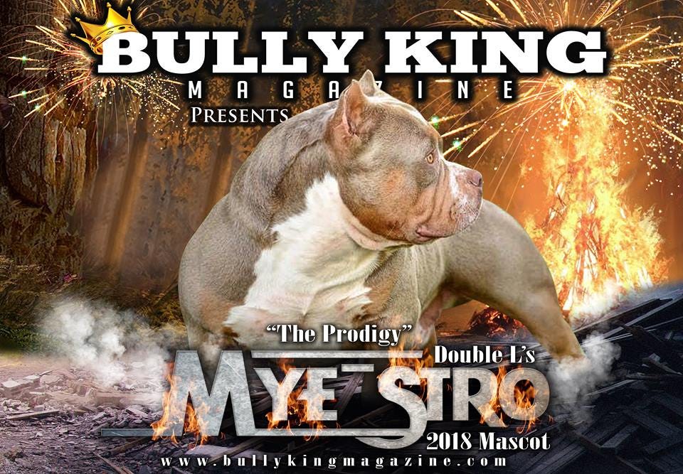 Get your digital copy of BULLY KING Magazine-Issue No. 1 Louis V issue