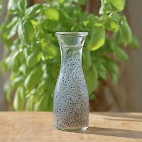 Sunny: Basil Seeds Sabja — Health Benefits, Recipes & More