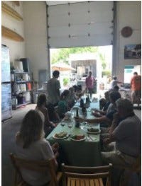 Celebrating Wine “Harvest” & What This Meant To Us — INSIGHT HEALTH APPS