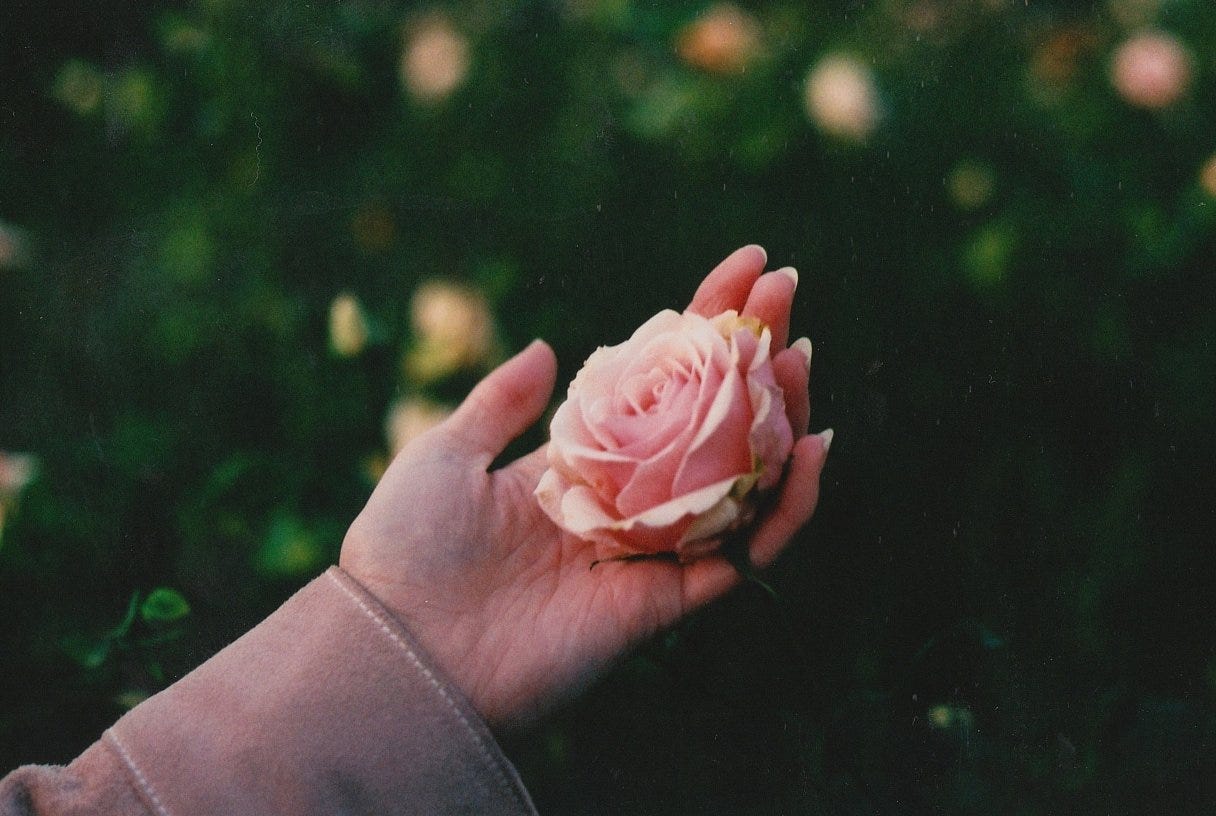 A Pastel Perspective by Chloe Sheppard | by Lomography | Medium