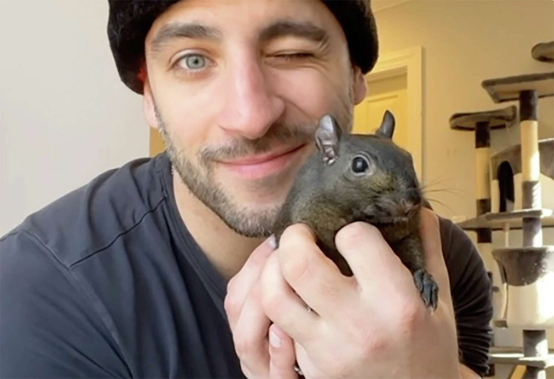 The story of Peanut the Squirrel. An actor in a porn reality show turns… |  by Jonathan Poletti | Sex Stories | Medium