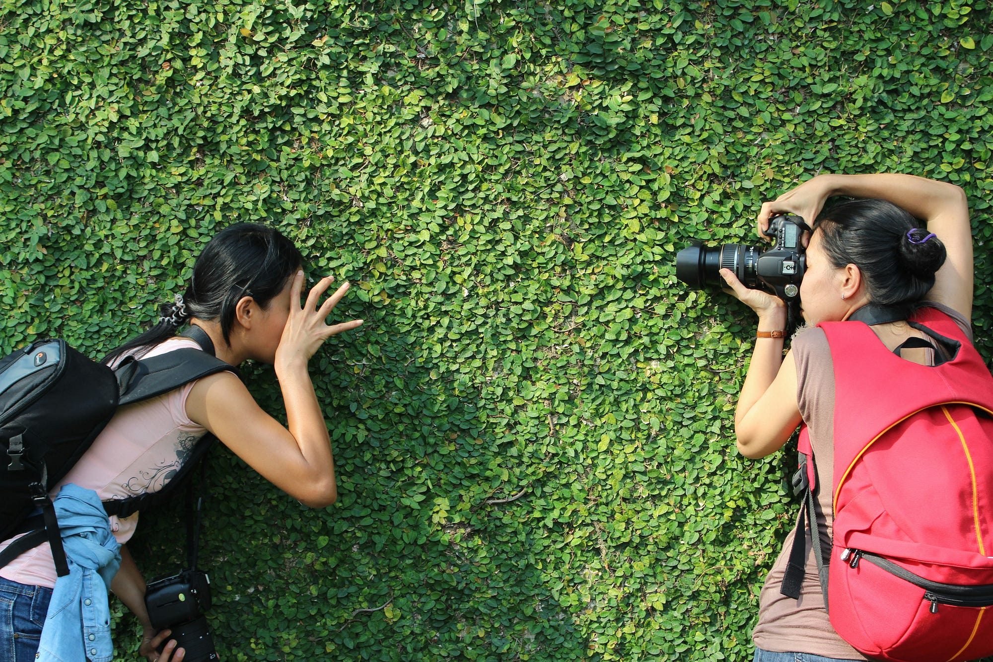 best cameras for backpacking and hiking Best Camera for Backpacking. The Best Camera for Backpacking: My… | by  Sharon Advik