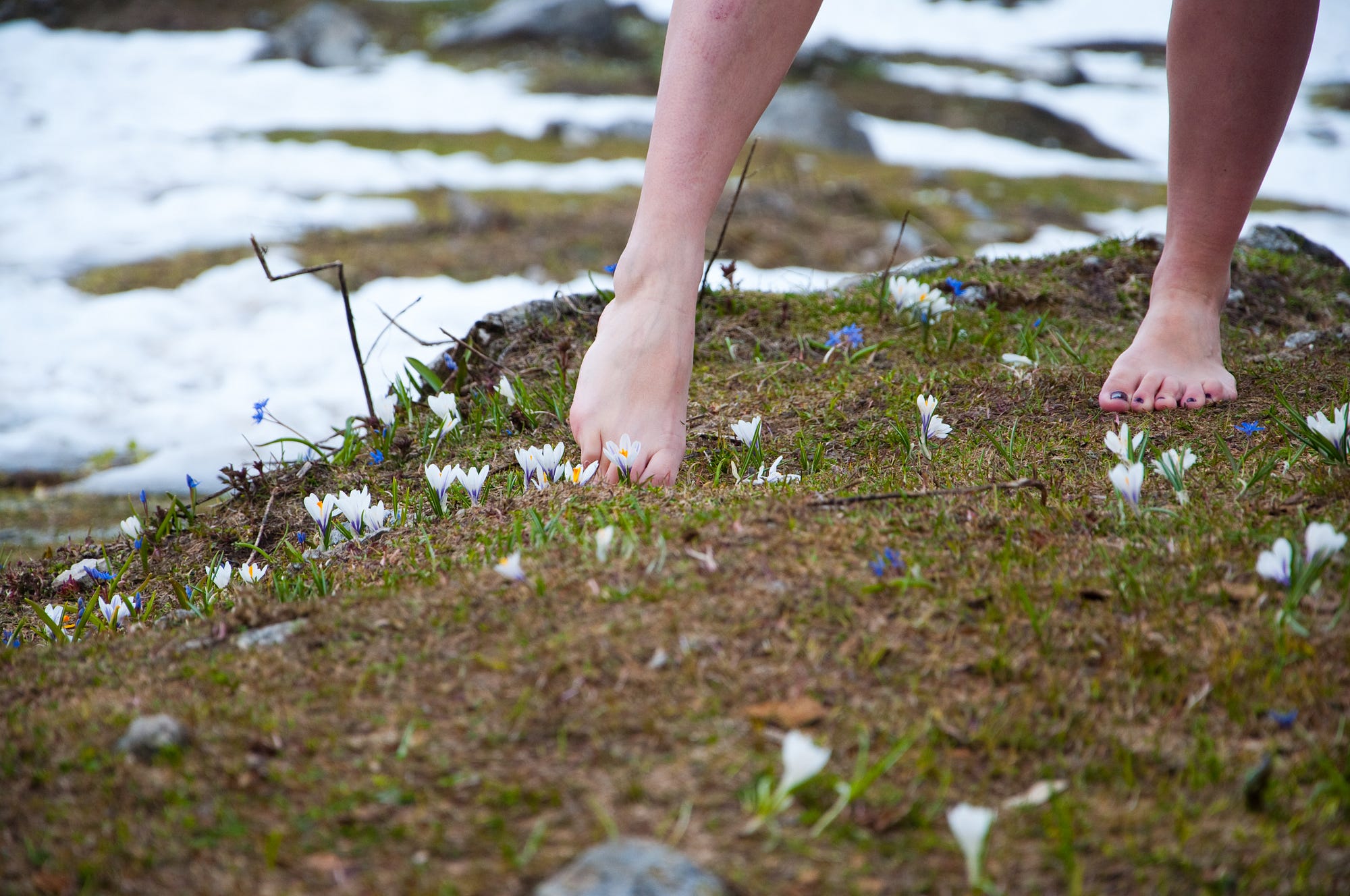 How to ground yourself in the nature in winter