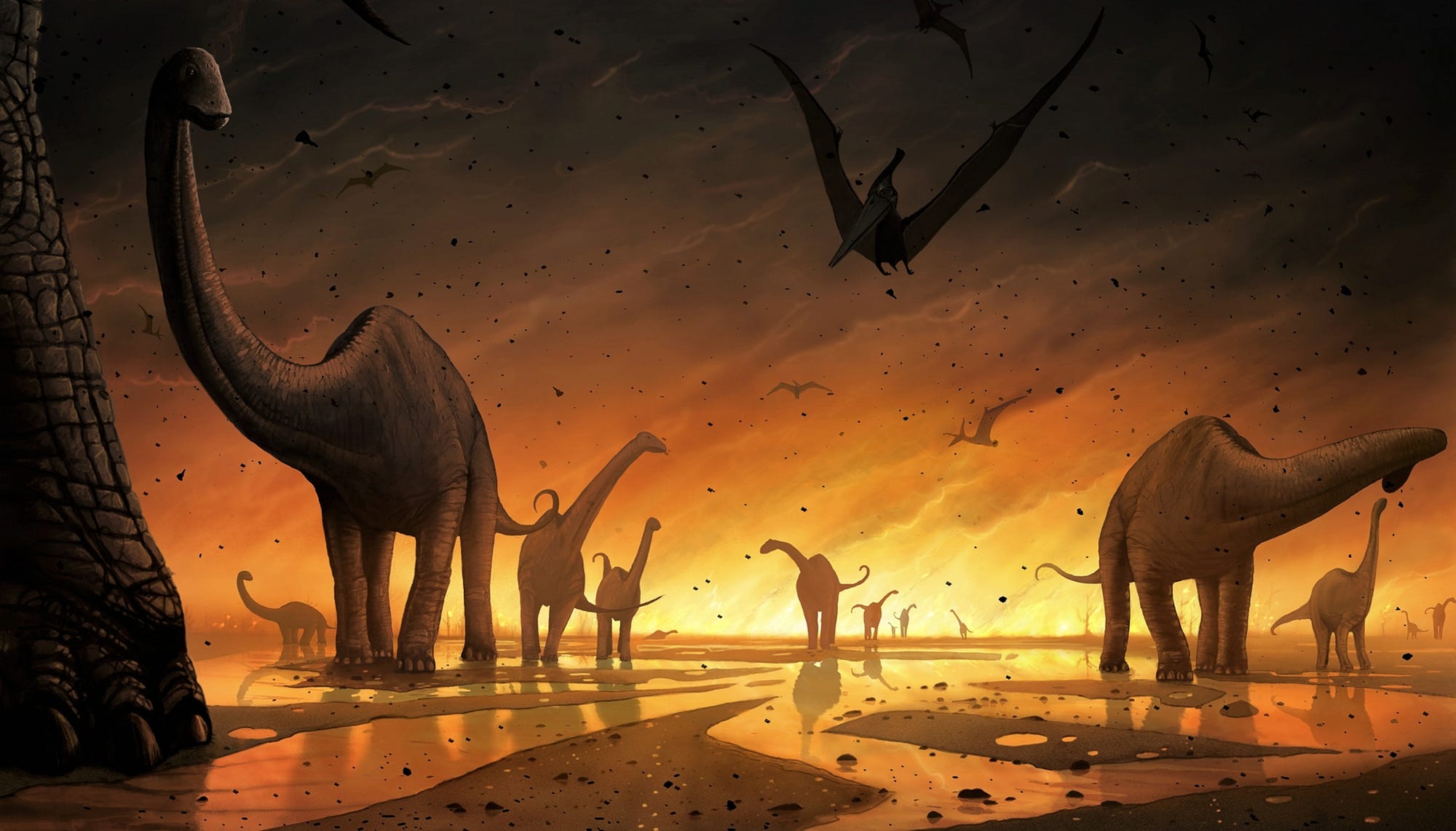 Extinction Lessons From The Dinosaurs