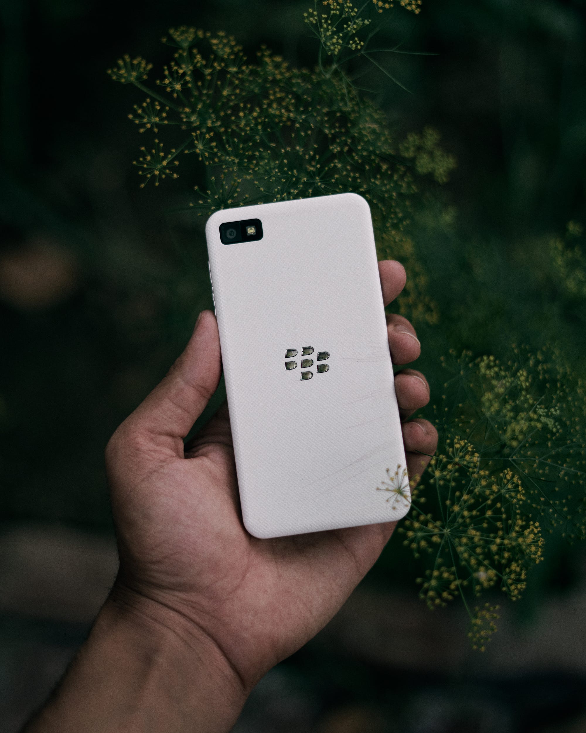 blackberry z10 white vs iphone 5