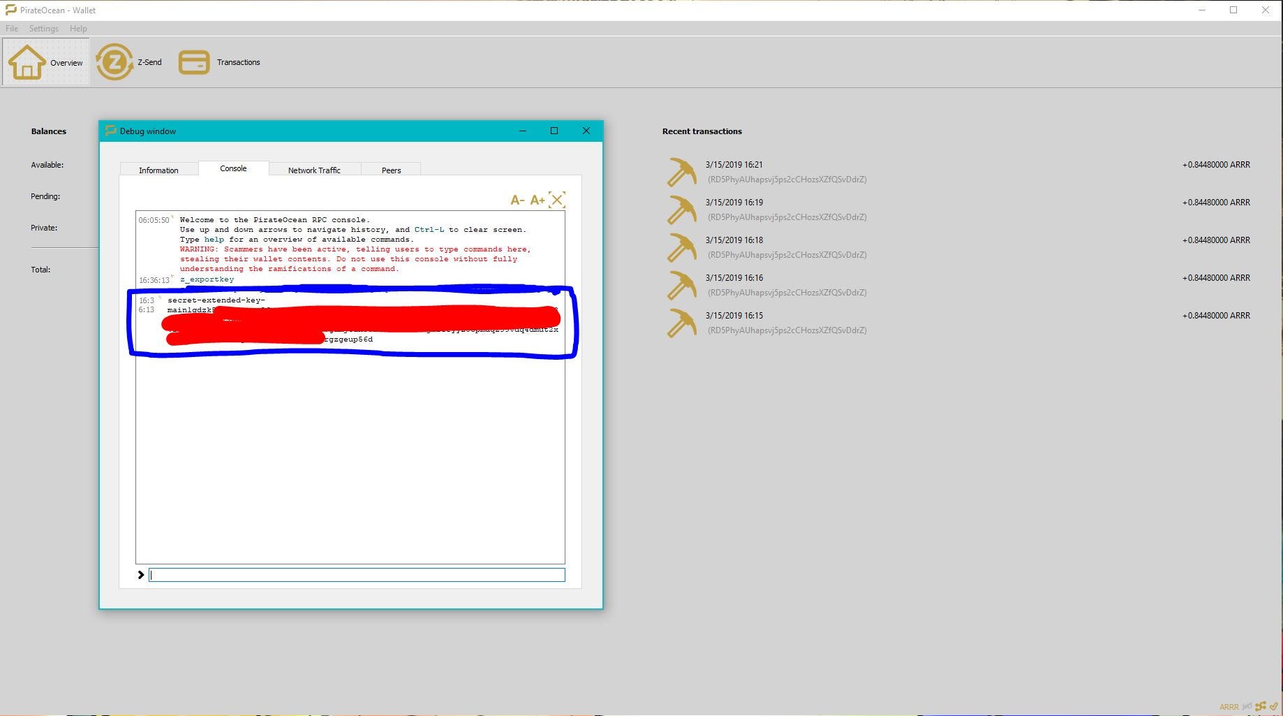 PirateOcean Wallet Guide. A cryptocurrency wallet is like a bank… | by  PirateChain | Pirate Chain | Medium