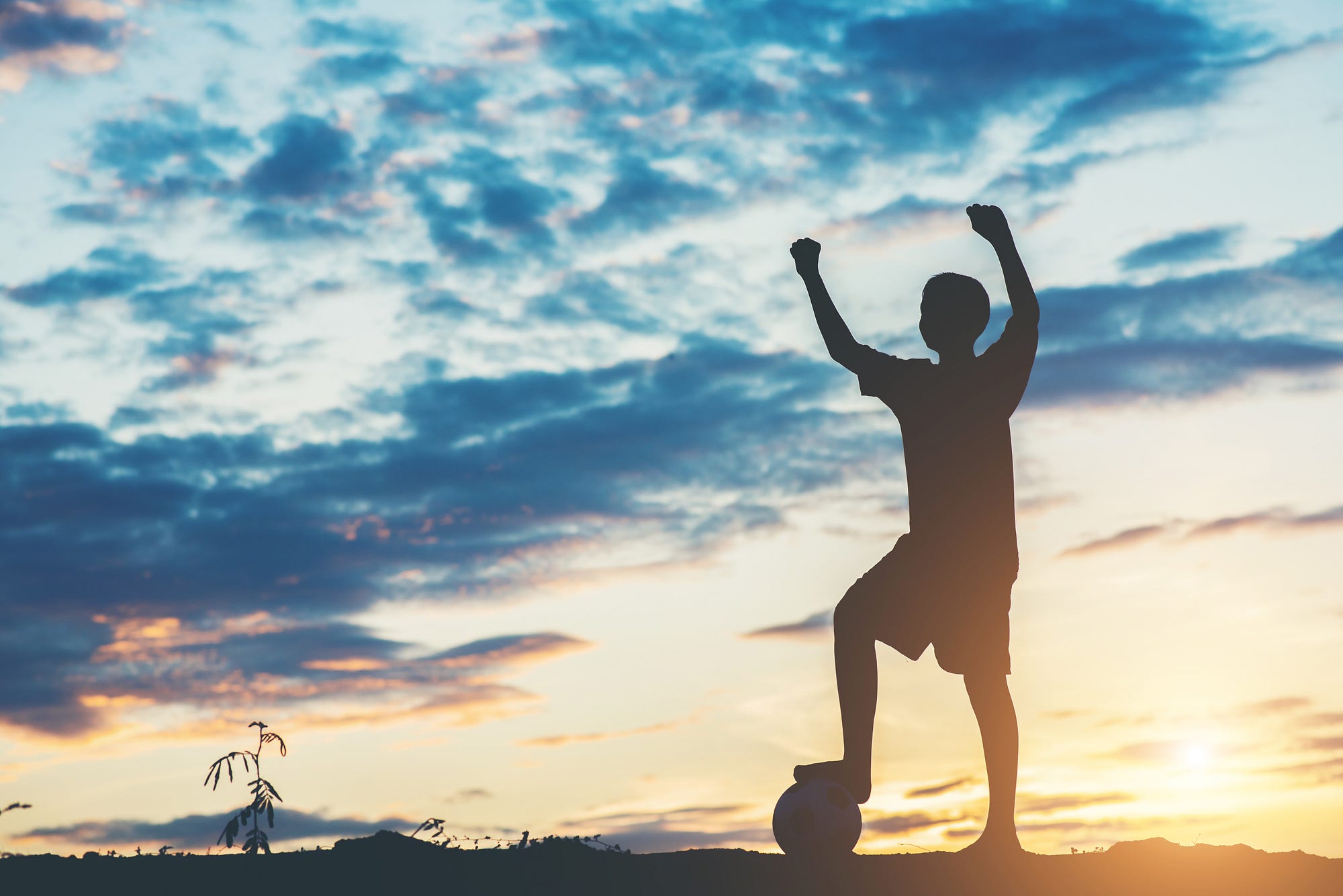 Foto Gol de futebol branco em foco photo – Imagem de Futebol grátis no  Unsplash