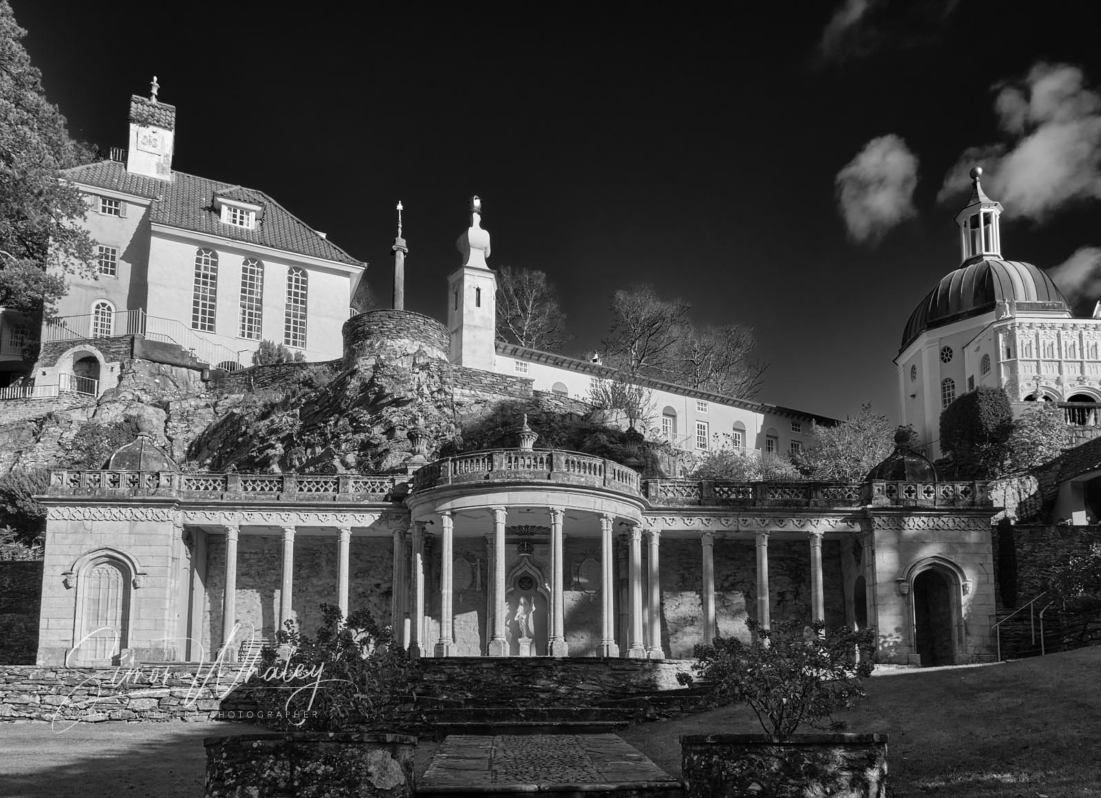 Tetera Morris & Co Portmeirion · Portmeirion · El Corte Inglés