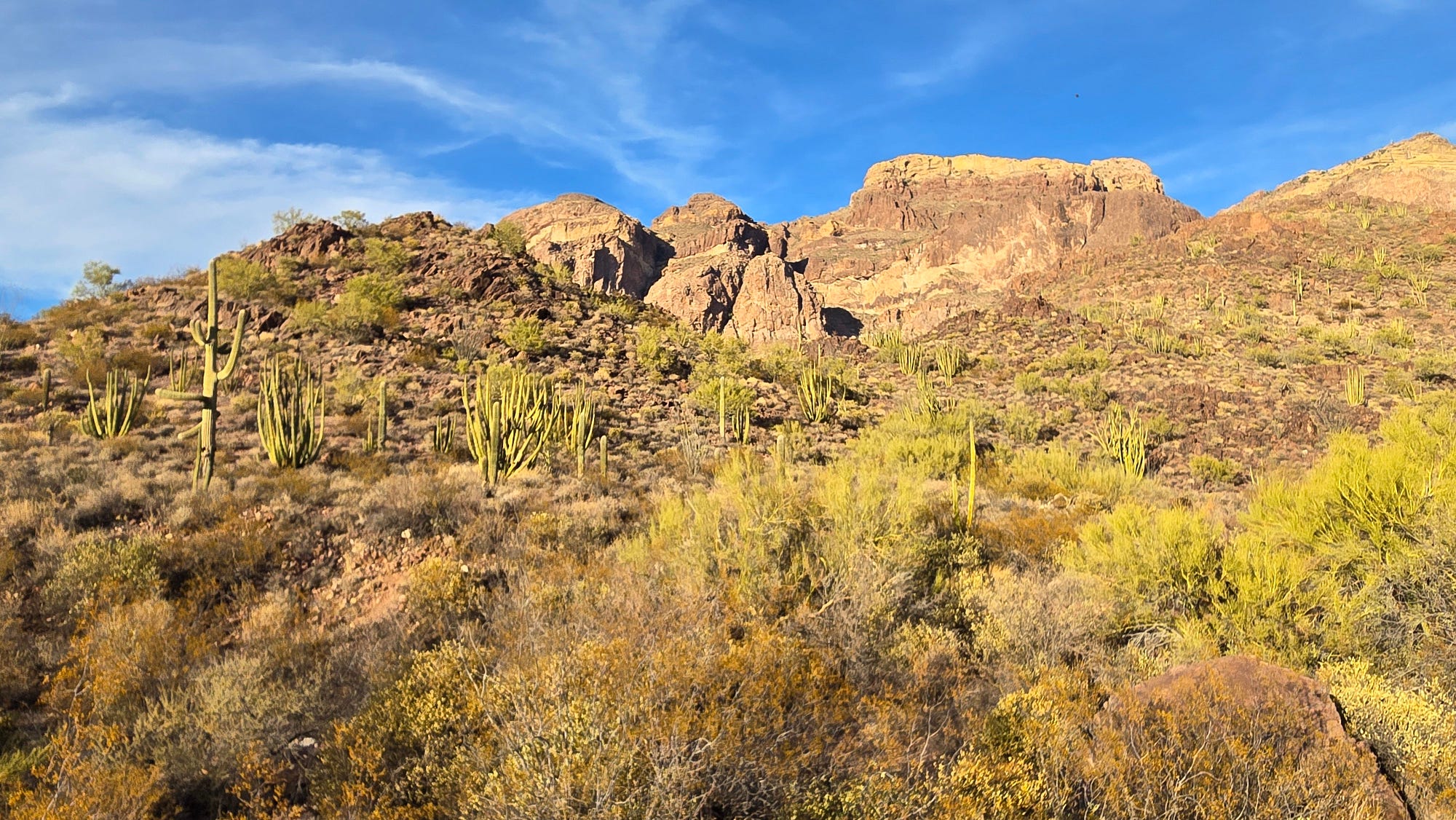 There Is No Hiding In The Desert. Hiking and thinking in the Sonoran | by  Brad Yonaka | Picture This | Medium