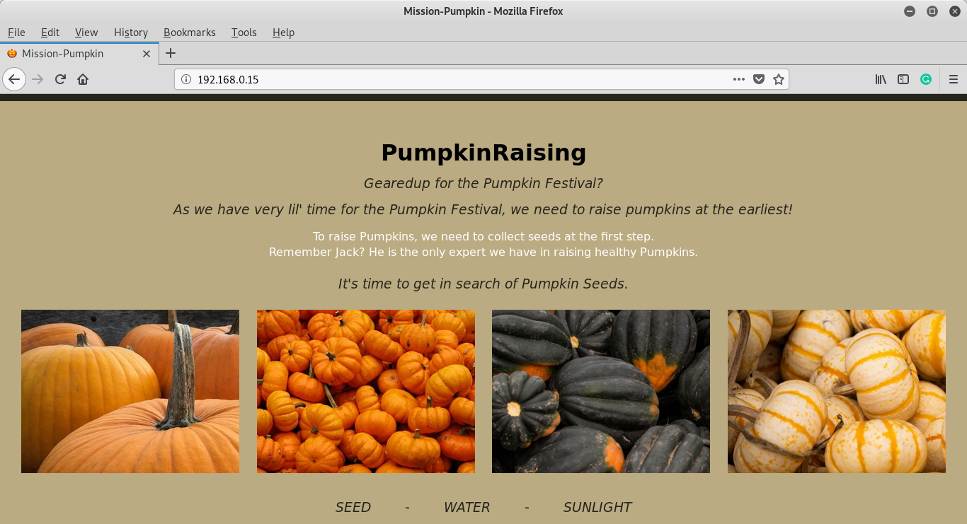 2/3] Mission-Pumpkin v1.0: PumpkinRaising — Walkthrough | by Anu