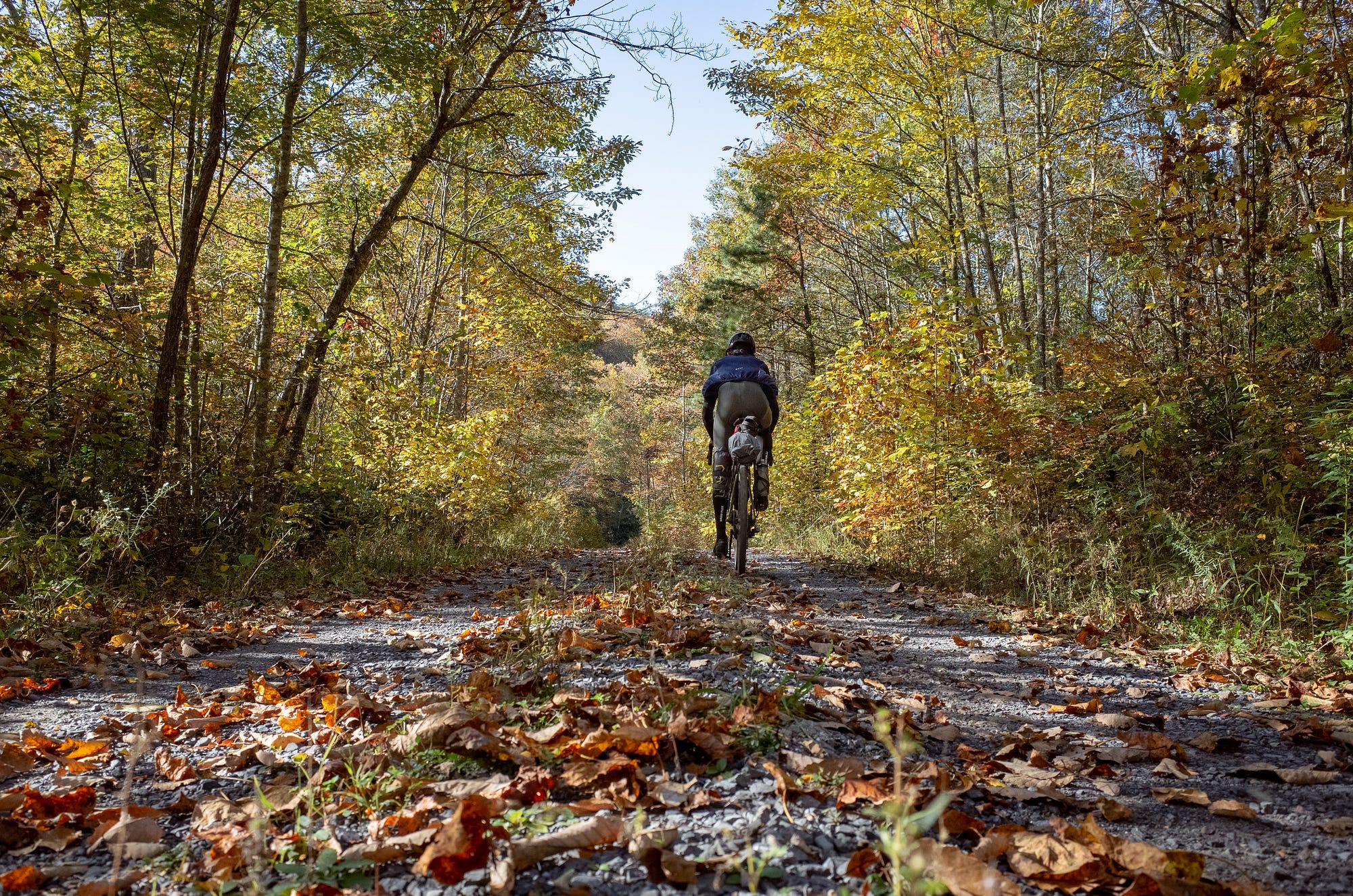 Jefferson forest mountain biking sale
