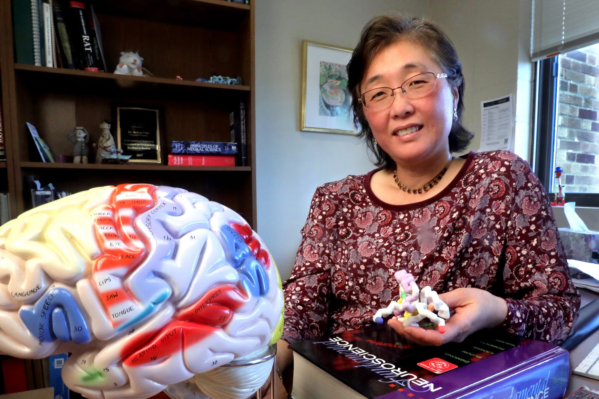 Studying the science of overeating | by Marquette University | We