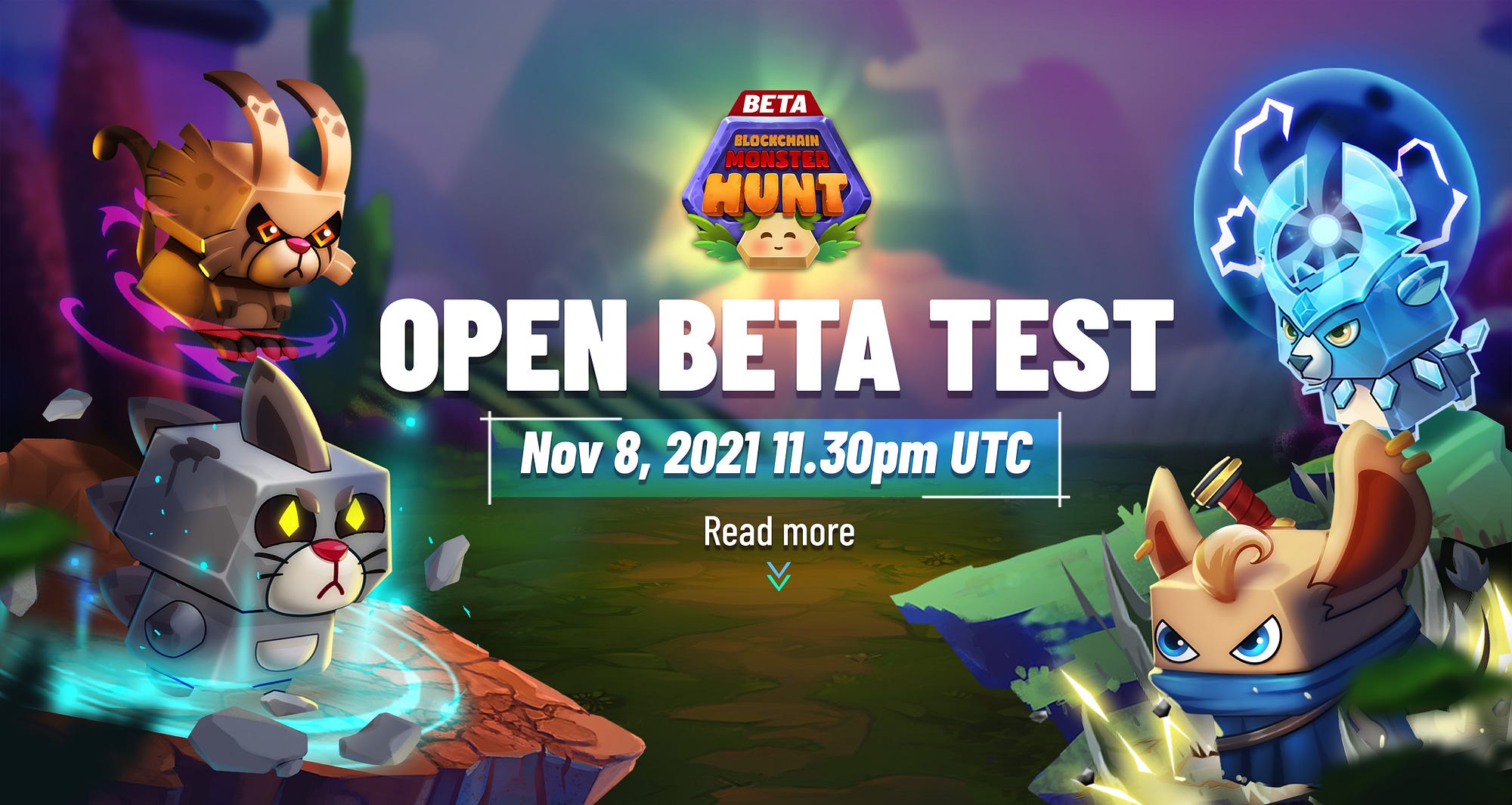 Will There Be an Open Beta Test?