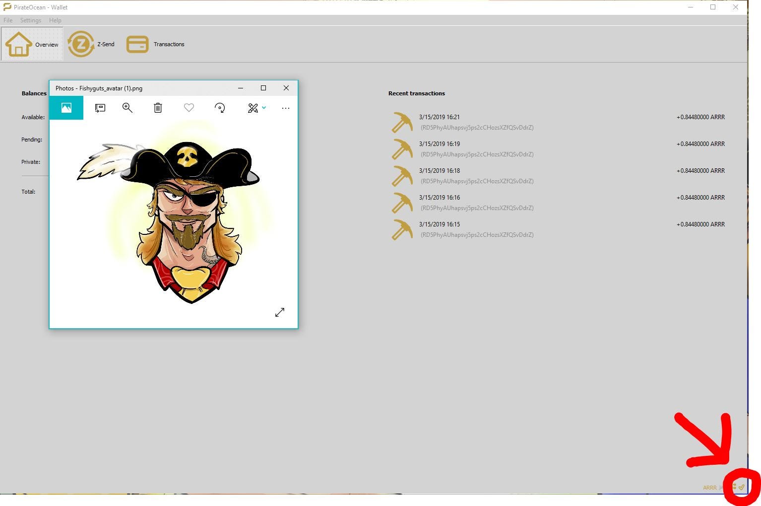 PirateOcean Wallet Guide. A cryptocurrency wallet is like a bank… | by  PirateChain | Pirate Chain | Medium