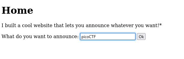 Website initial view