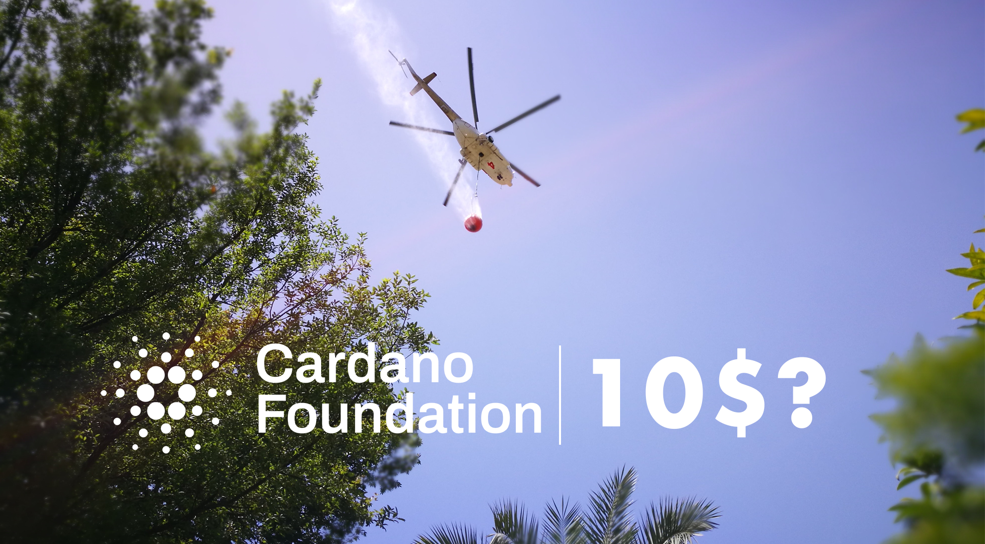 Cardano: Why $10 ADA Is Possible. Analysts think ADA can reach 10 USD… | by  Maximilian Perkmann | Coinmonks | Medium