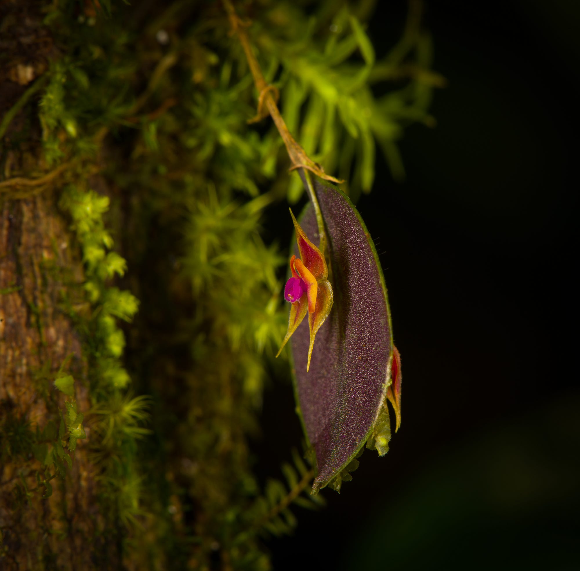 This darling metal frog statue features a built-in bird feeder and LED ligh...