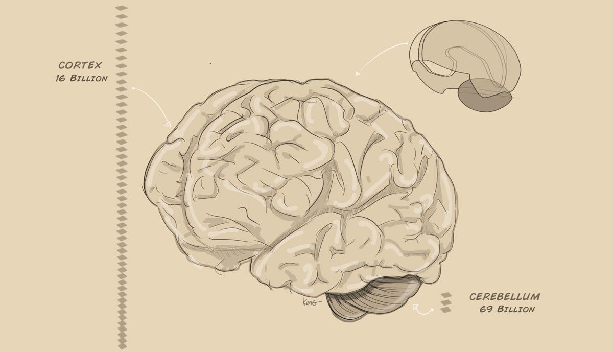 希少　Neuronal Man: The Biology of Mind 希少 Neuronal Man: The Biology of Mind Neuronal Man