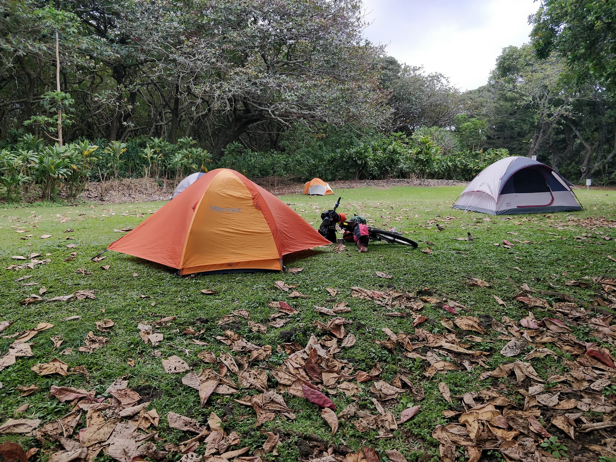 Bike Camping the Road to Hana. This was an incredible bike camping | by  Diana Holland | Medium