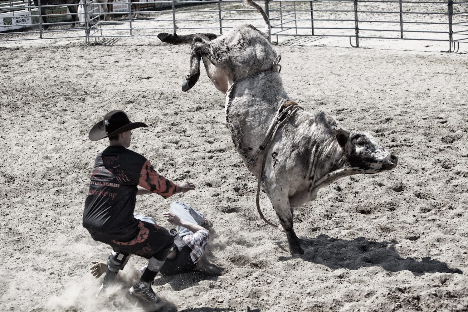 My First Rodeo. The “best show on dirt” takes place… | by David Todd  McCarty | A Bit Dodgy